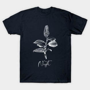 Night. Graphic image of ficus for designs. T-Shirt